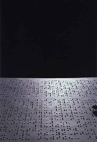 «&nbsp;Origin of Species (Darwin)&nbsp;», Sémiopolis, Joan Fontcuberta, 1999